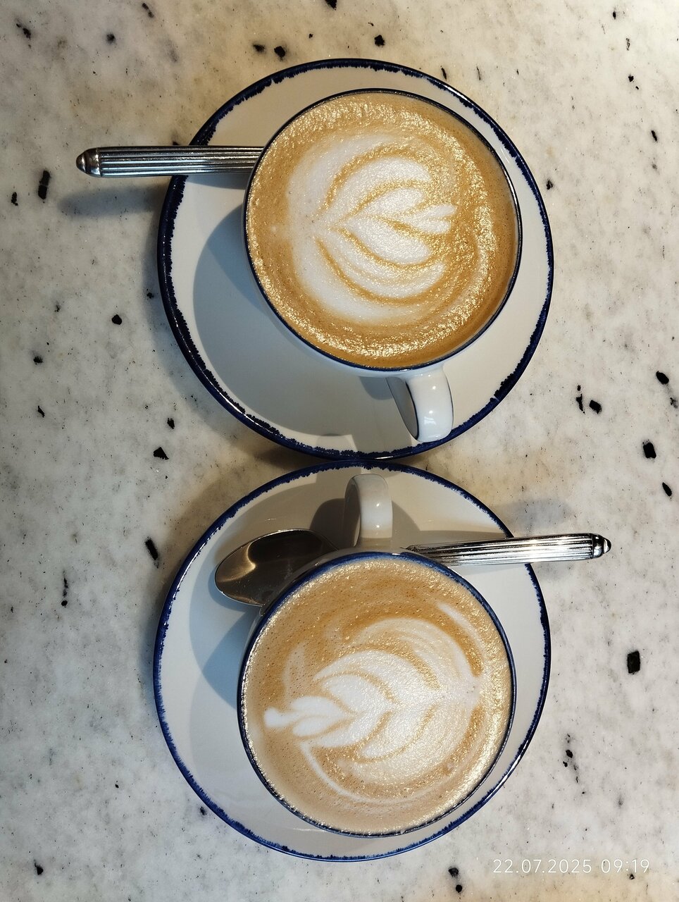 Гостиница Гайд Парк Тверь-241