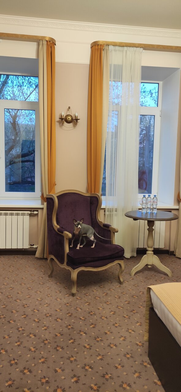 Гостиница Гайд Парк Тверь-232