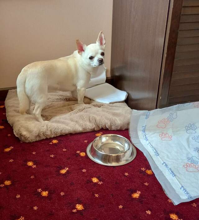 Гостиница Гайд Парк Тверь-104